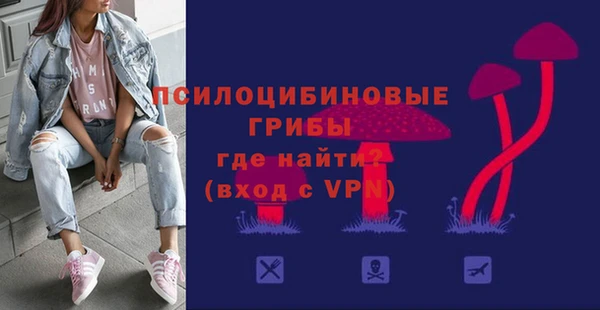 крисы Балахна