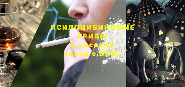 крисы Балахна