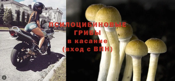 каннабис Баксан